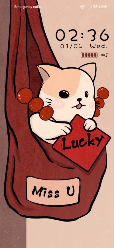 Douyoufu Rabbit