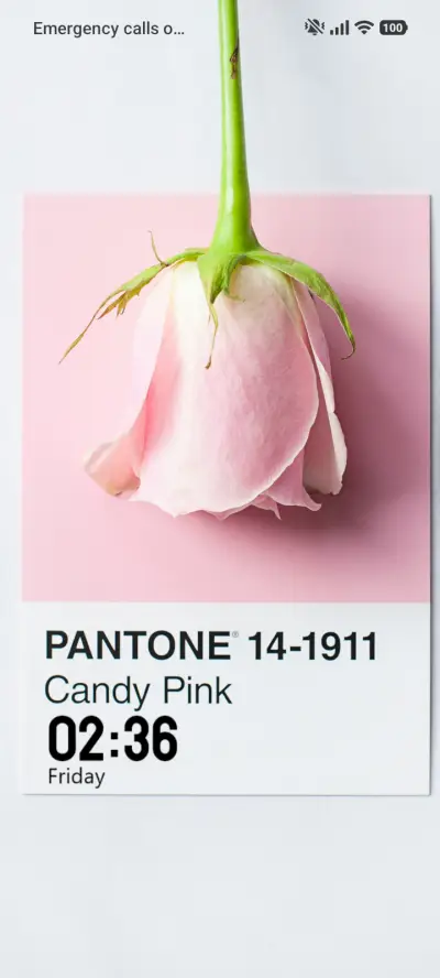 Pantone Pink - Screenshot 1