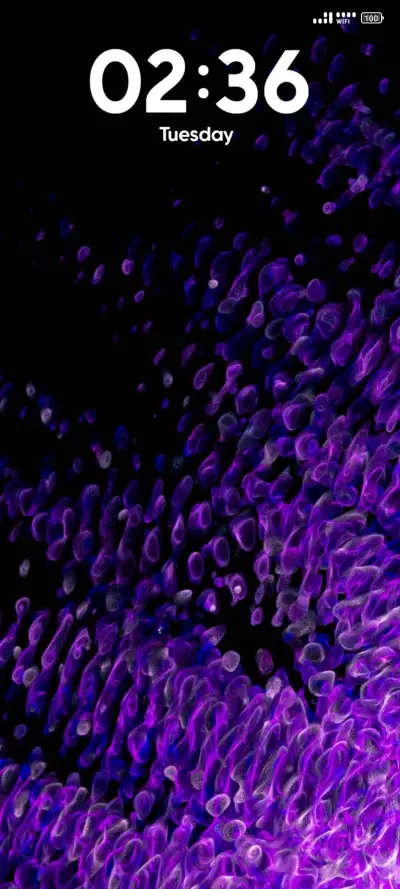 Ultraviolet Symph