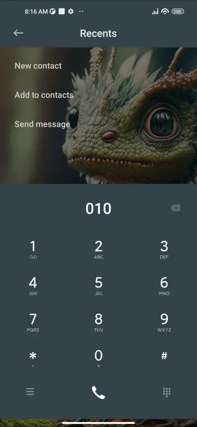 Dragon Vista - Screenshot 6