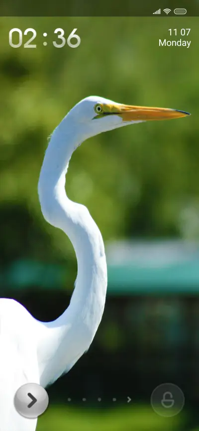 Wildlife eight - Screenshot 1