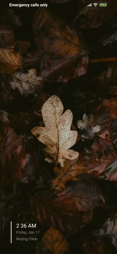 Leaves 2