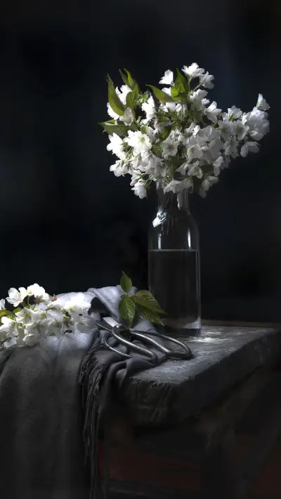 VCG211224092147 - Screenshot 1