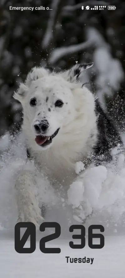 Snow Dog - Screenshot 1
