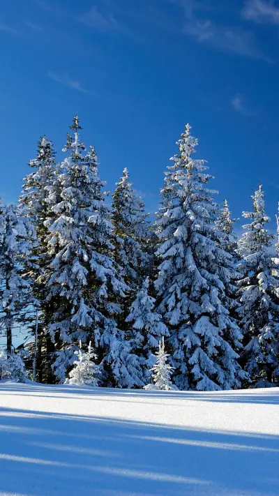 World of ice and snow