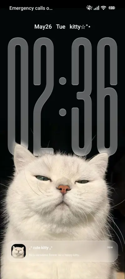 Cat THEME for Xiaomi MIUI HyperOS