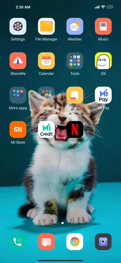 Cat mod - Screenshot 3