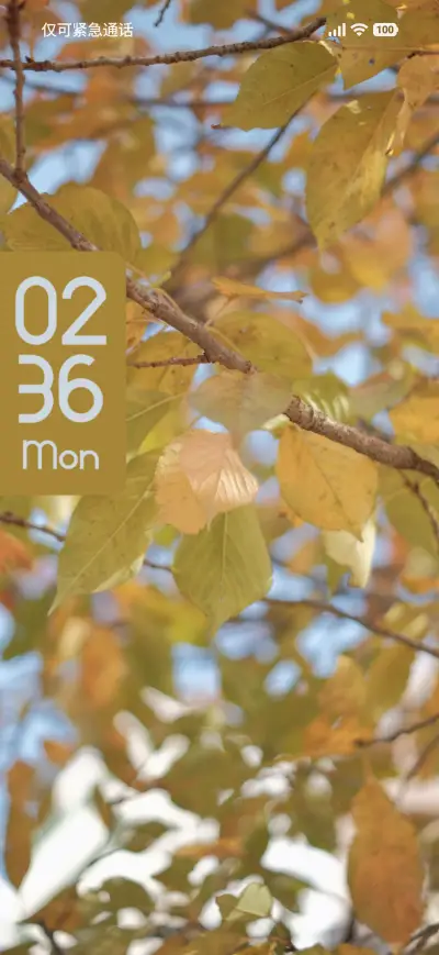 Golden Canopy - Screenshot 1