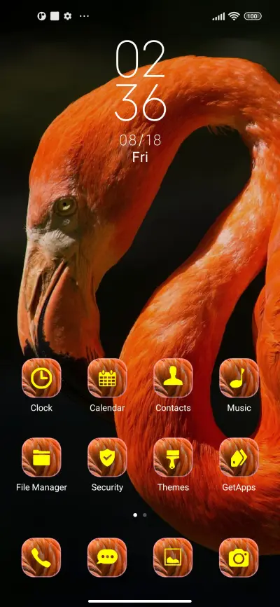 Flamingo orange - Screenshot 2