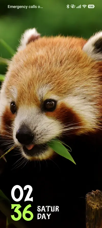 Furry Peek - Screenshot 1