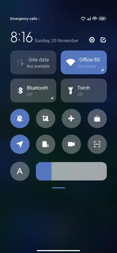 Tulips - Screenshot 5