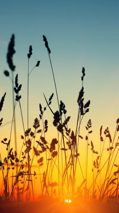 Sunrise and sunset - Screenshot 1