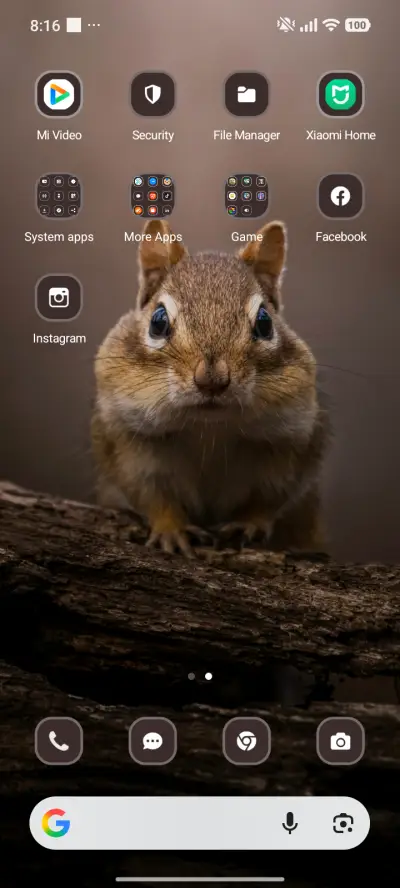 Cute Squirrel - Screenshot 3