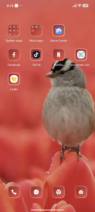 Bird - Screenshot 3