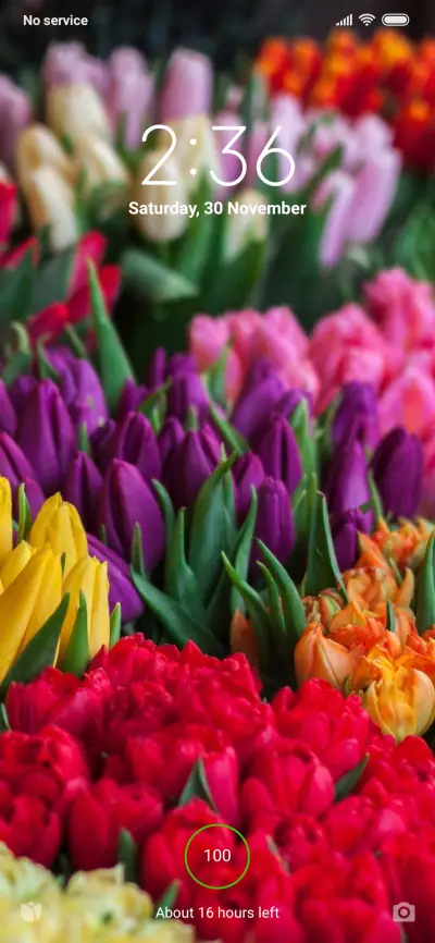 Official MIUI Theme_16 - Screenshot 1