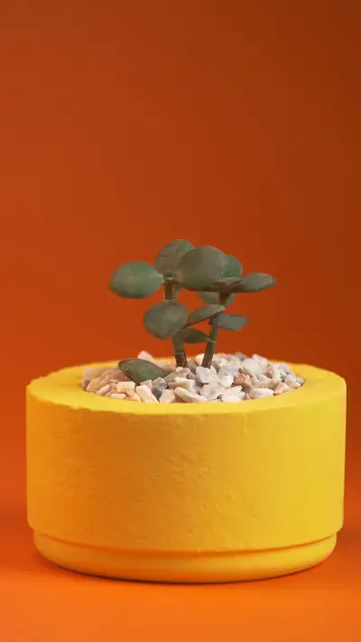 Cute wallpaper-11 - Screenshot 1