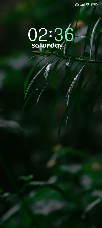 Silent Leaf - Screenshot 1