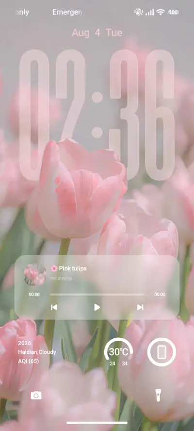 Pink - Screenshot 2