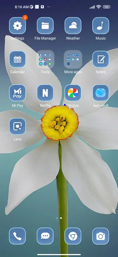 flower beauty - Screenshot 3