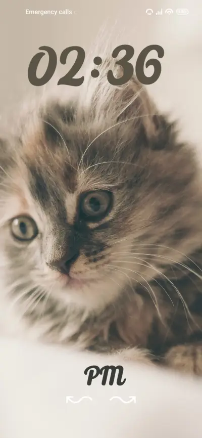 cat THEME for Xiaomi MIUI HyperOS
