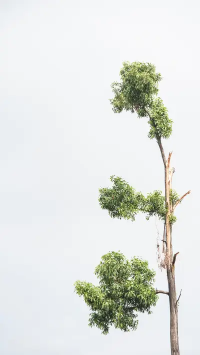 international_nature (11)