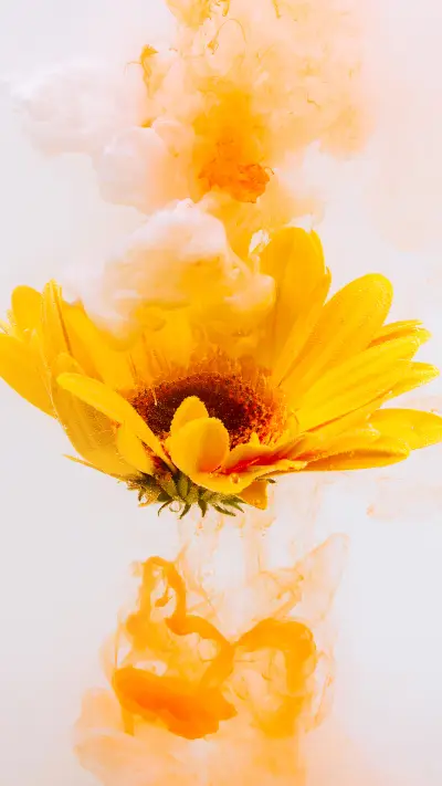 Yellow flower-03
