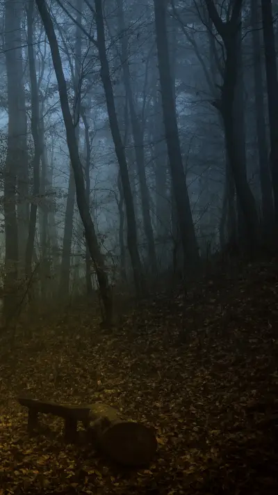 stock-photo-fairy-land-743456671