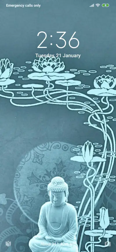 Official MIUI Theme_39