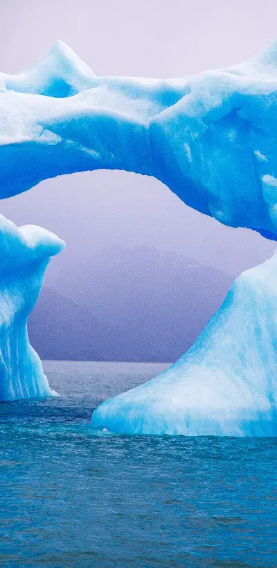 landing-2965 - Screenshot 1