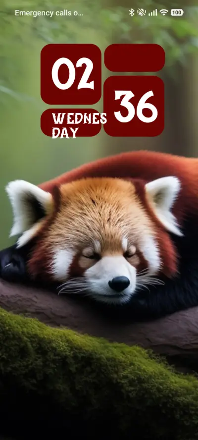 Dream Panda