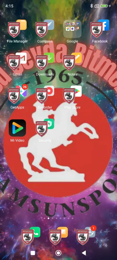 SAMSUN SPOR - Screenshot 3