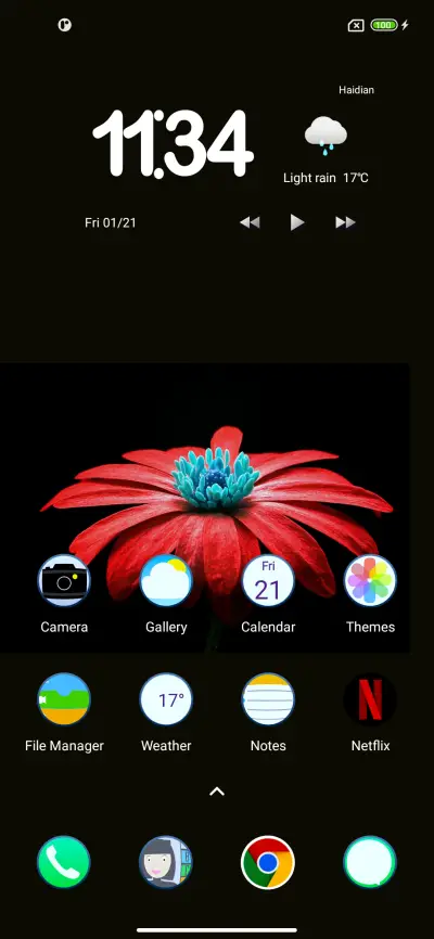 iOS  Flower - Screenshot 2