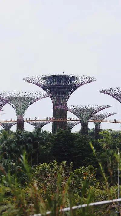 photo-1561527391-46e104b8bfad