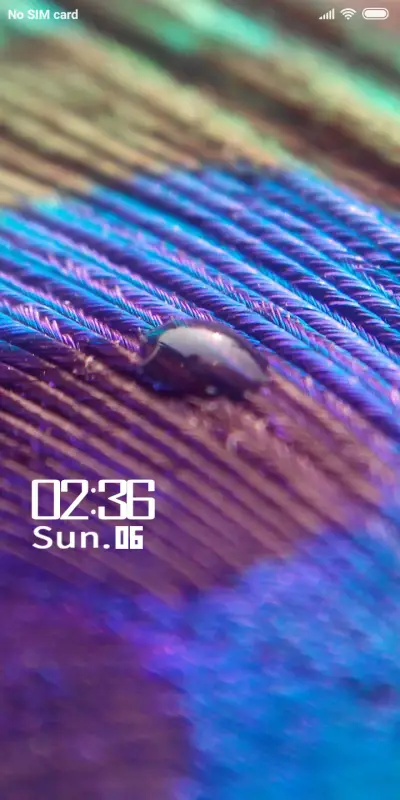 Peacock Feather_DWM2