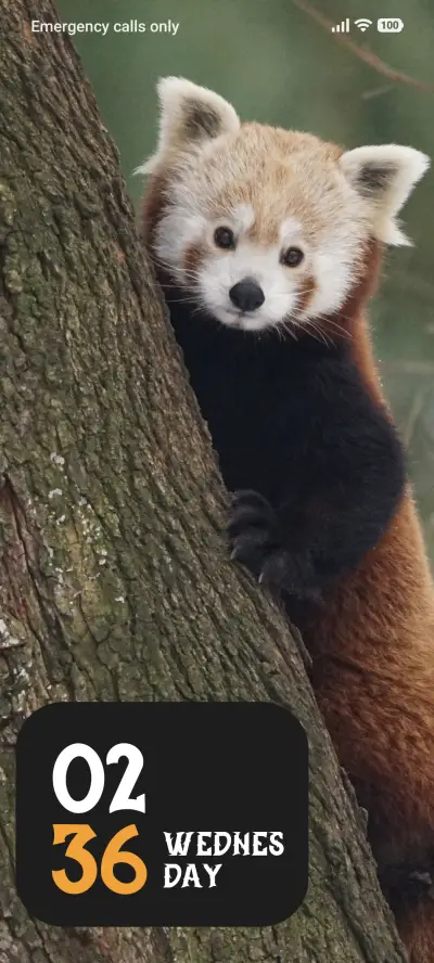 Forest Friend - Screenshot 1