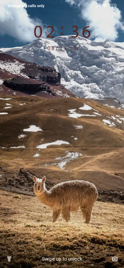 Mountain Goat_3MDS - Screenshot 1