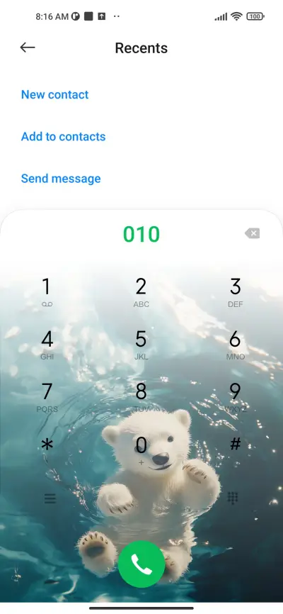 Polar bear - Screenshot 4