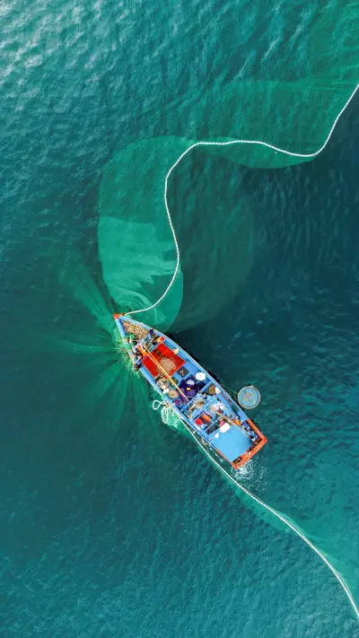 Seine fishing at SonTra - Da Nang -VietNam