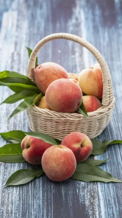 A beloved peach - Screenshot 1