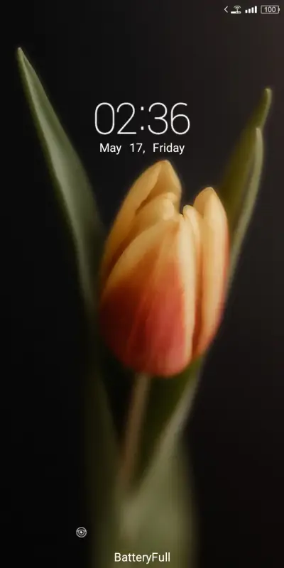 Tulip - Screenshot 1