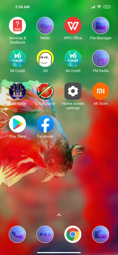 Colorfull Fish - Screenshot 3