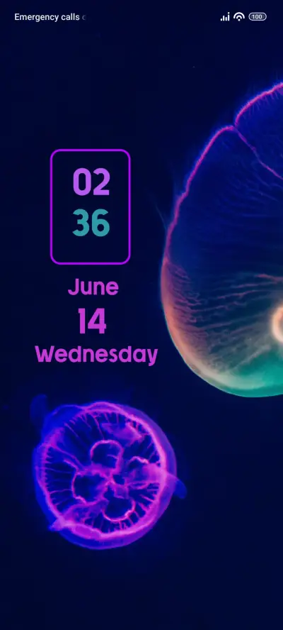 JellyFish - Screenshot 1