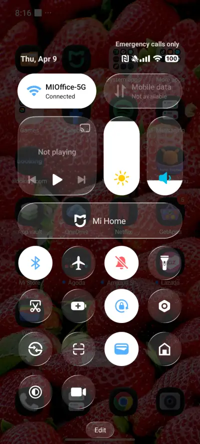 Strawberry - Screenshot 5