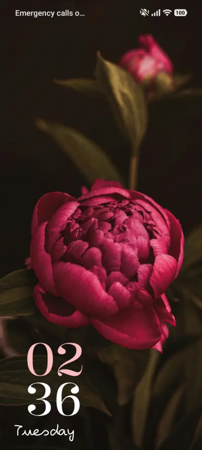 Fresh Blossom THEME for Xiaomi MIUI HyperOS