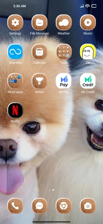 Cat Selfie - Screenshot 3