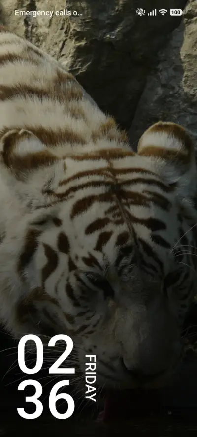 Bengal Tiger
