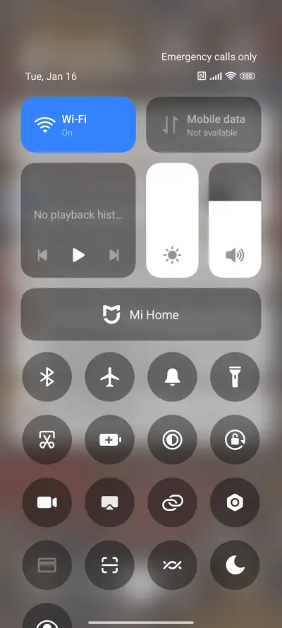 Foraging chicks - Screenshot 6