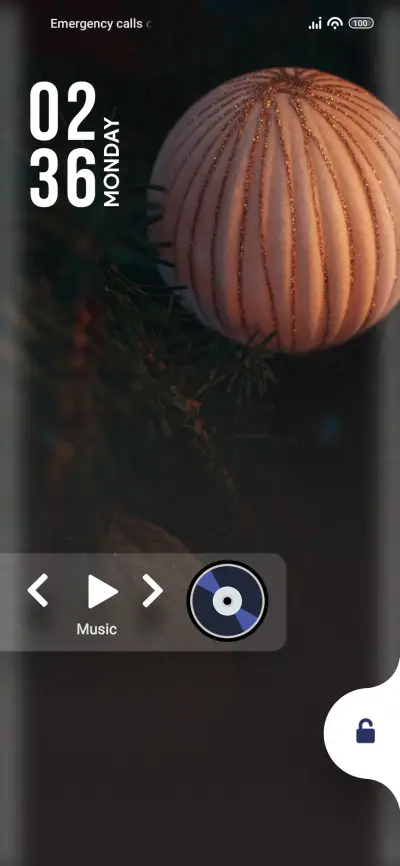 Decoration - Screenshot 1