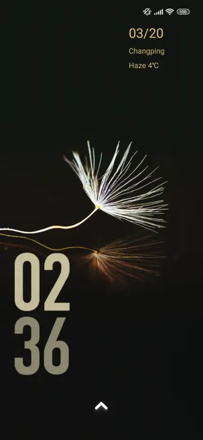 minimal dandelion