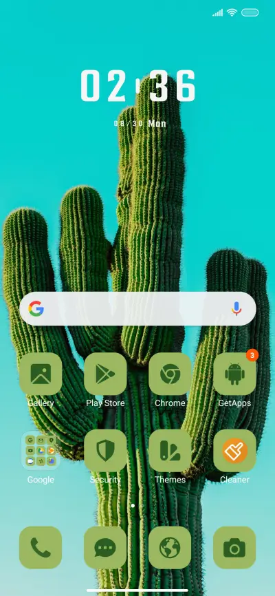 Plant Cactus - Screenshot 2